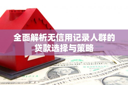 屯门全面解析无信用记录人群的贷款选择与策略