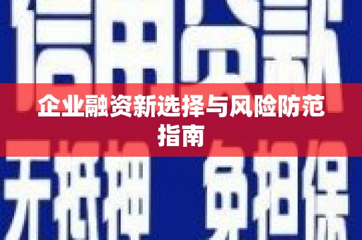 屯门企业融资新选择与风险防范指南