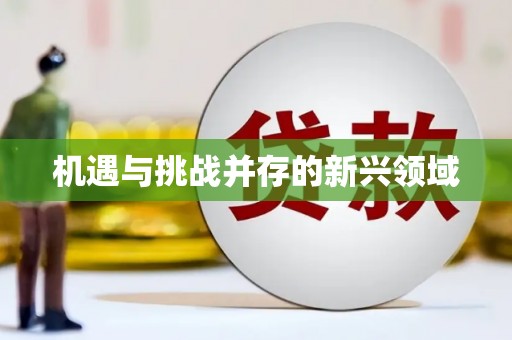 屯门机遇与挑战并存的新兴领域