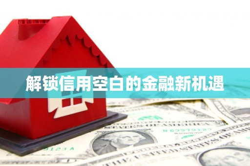 屯门解锁信用空白的金融新机遇