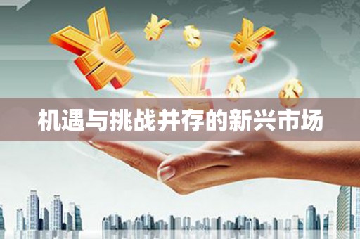 屯门机遇与挑战并存的新兴市场