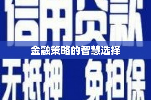 屯门金融策略的智慧选择