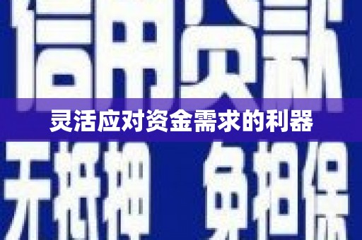 屯门灵活应对资金需求的利器