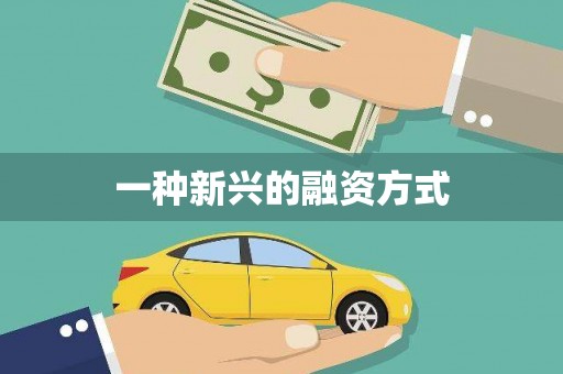 屯门一种新兴的融资方式