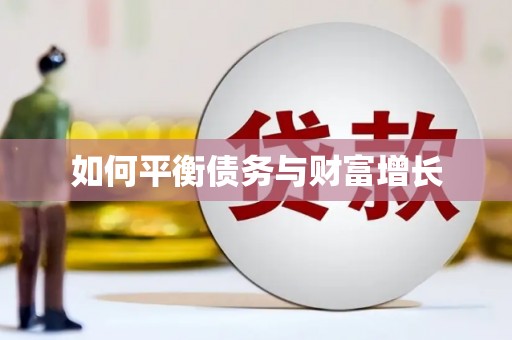 屯门如何平衡债务与财富增长