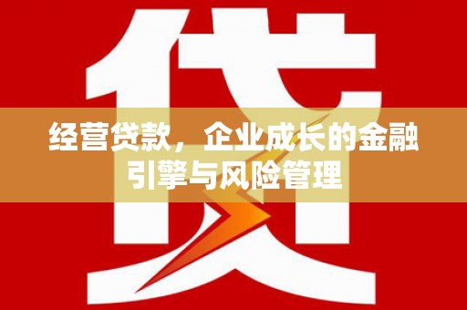 屯门经营贷款，企业成长的金融引擎与风险管理