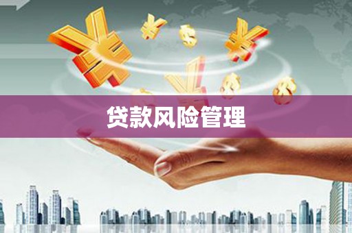 屯门贷款风险管理