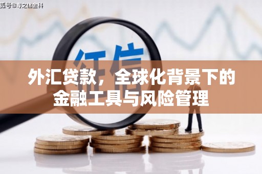 屯门外汇贷款，全球化背景下的金融工具与风险管理