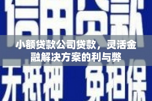 屯门小额贷款公司贷款，灵活金融解决方案的利与弊