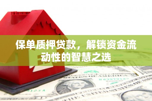 屯门保单质押贷款，解锁资金流动性的智慧之选