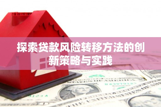 屯门探索贷款风险转移方法的创新策略与实践