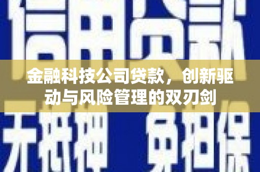 屯门金融科技公司贷款，创新驱动与风险管理的双刃剑