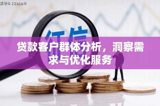屯门贷款客户群体分析，洞察需求与优化服务